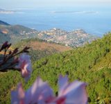 ile-lerins-esterel-pic-ours-location-vacance-agay-var