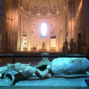 musee-archeologique-saint-raphael-var