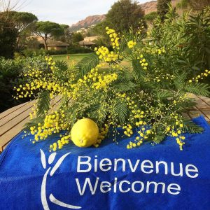offre fevrier promotion vin mimosa chocolat vacance location residence 