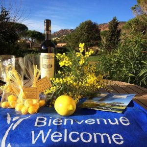 Vin-chocolat-mimosa-jardin-fleur-promotion-fevrier-sejour-saint-valentin