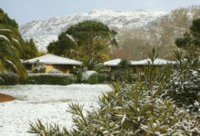 Le-jardin-en-hiver